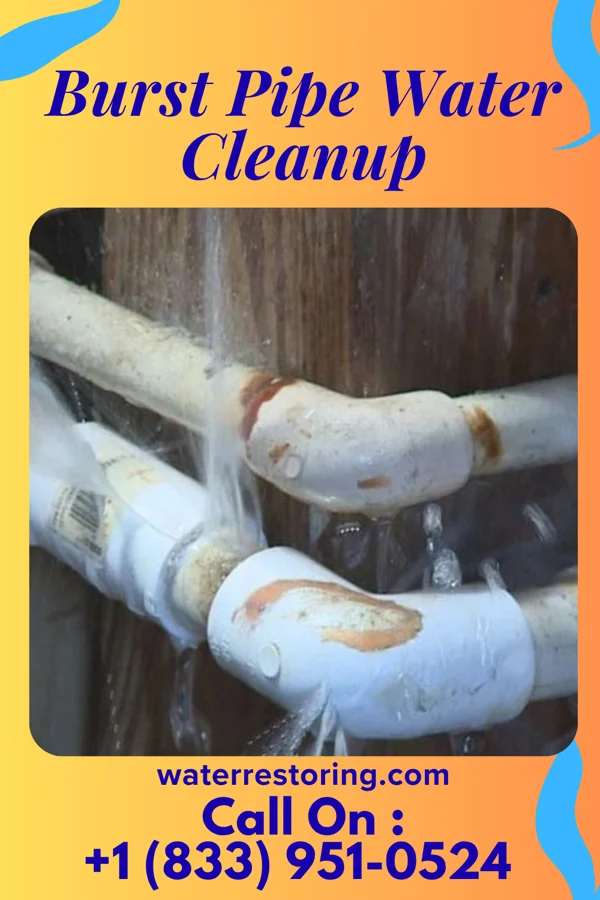 Burst Pipe Water Cleanup in Norwood, LA
