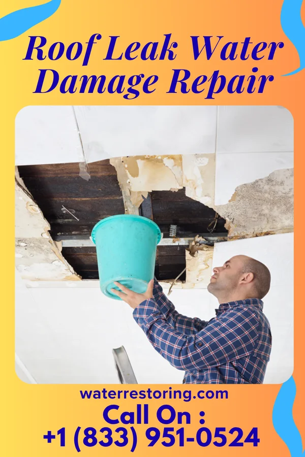 Roof Leak Water Damage Repair in Norwood, LA