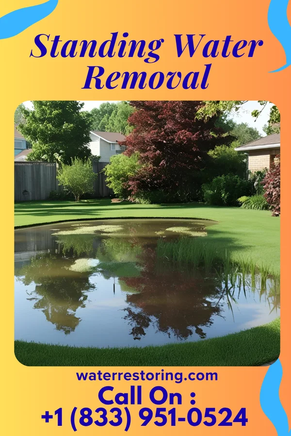Standing Water Removal in Norwood, LA